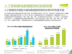 2019年中國(guó)人工智能基礎(chǔ)數(shù)據(jù)服務(wù)白皮書 軟件開發(fā)篇
