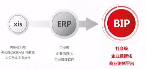 未及十年，云ERP已過時 信息服務(wù)引領(lǐng)企業(yè)數(shù)字化新浪潮